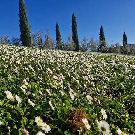 Agriturismo Val Della Pieve Anghiari Exteriör bild