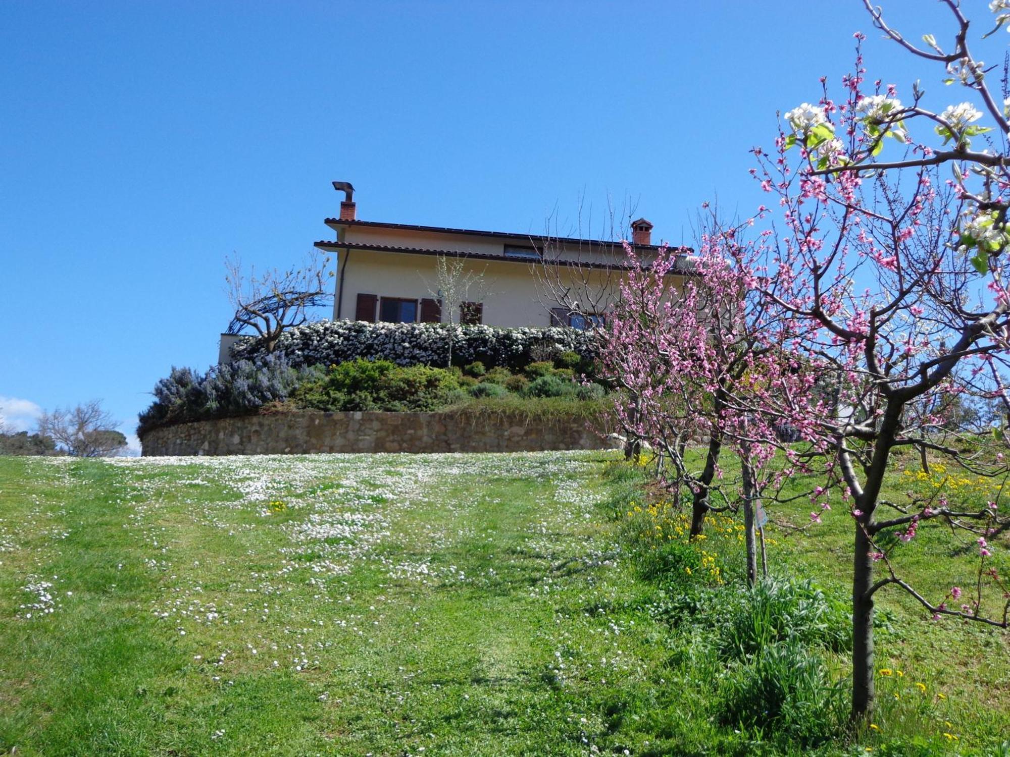 Agriturismo Val Della Pieve Anghiari Exteriör bild