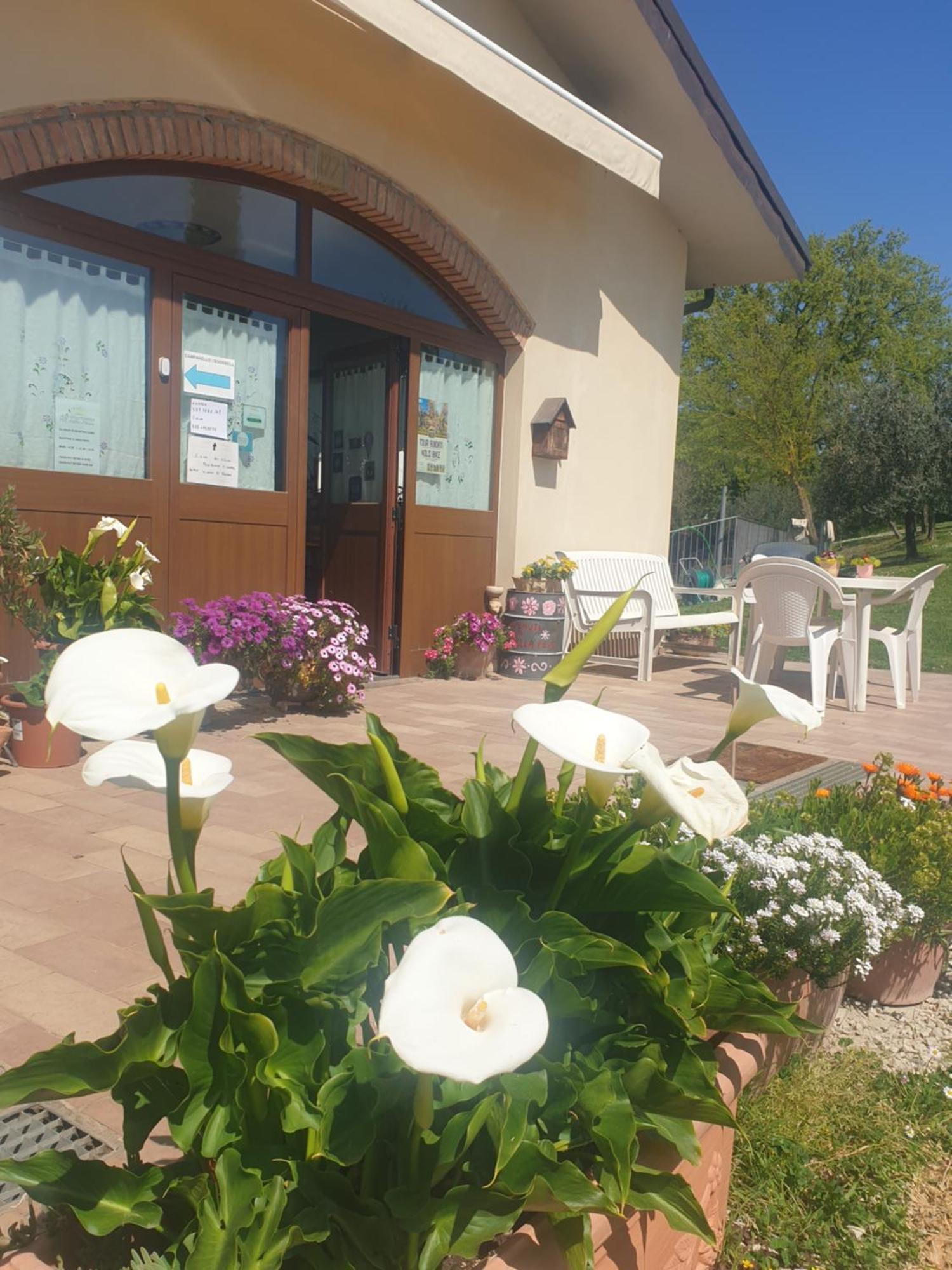 Agriturismo Val Della Pieve Anghiari Exteriör bild