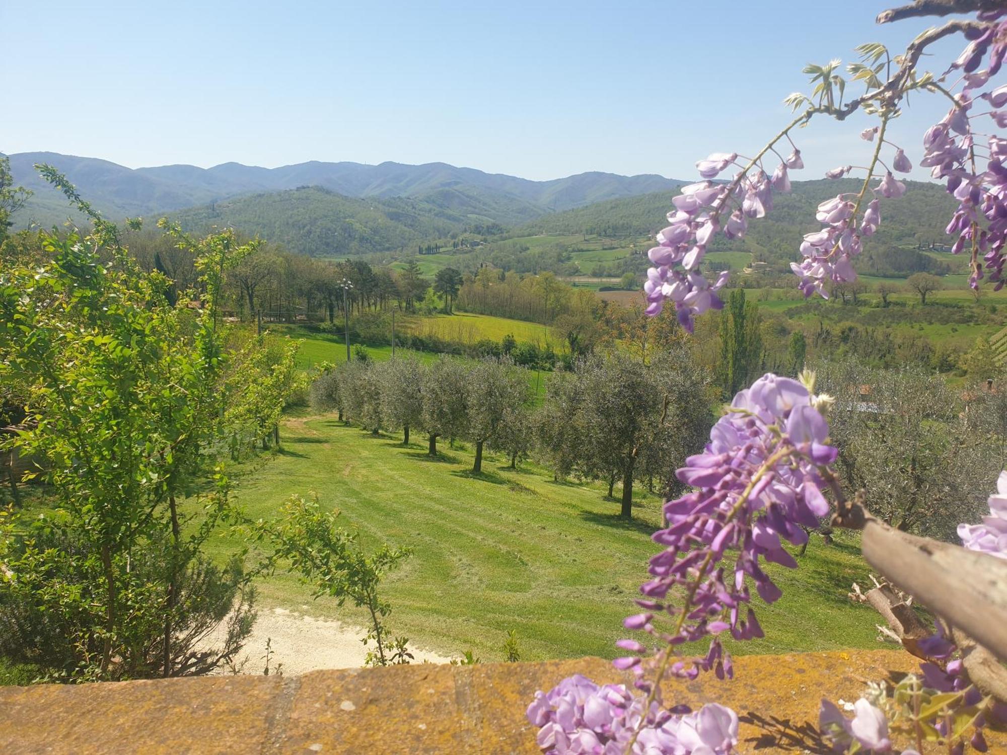 Agriturismo Val Della Pieve Anghiari Exteriör bild