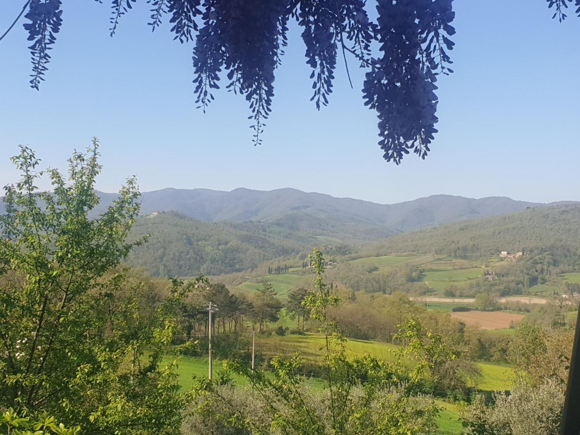 Agriturismo Val Della Pieve Anghiari Exteriör bild