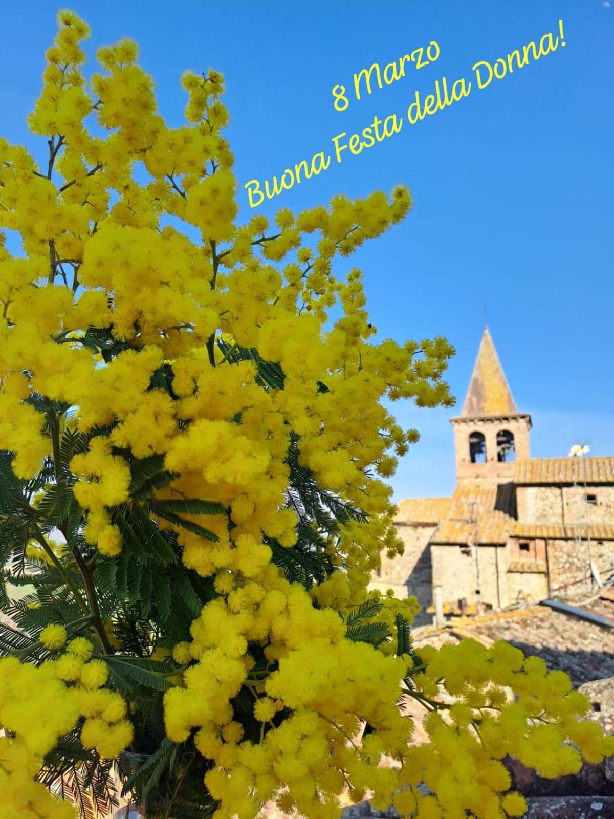 Agriturismo Val Della Pieve Anghiari Exteriör bild