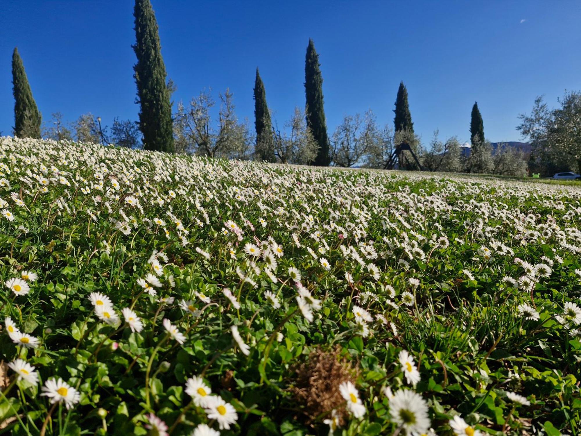 Agriturismo Val Della Pieve Anghiari Exteriör bild