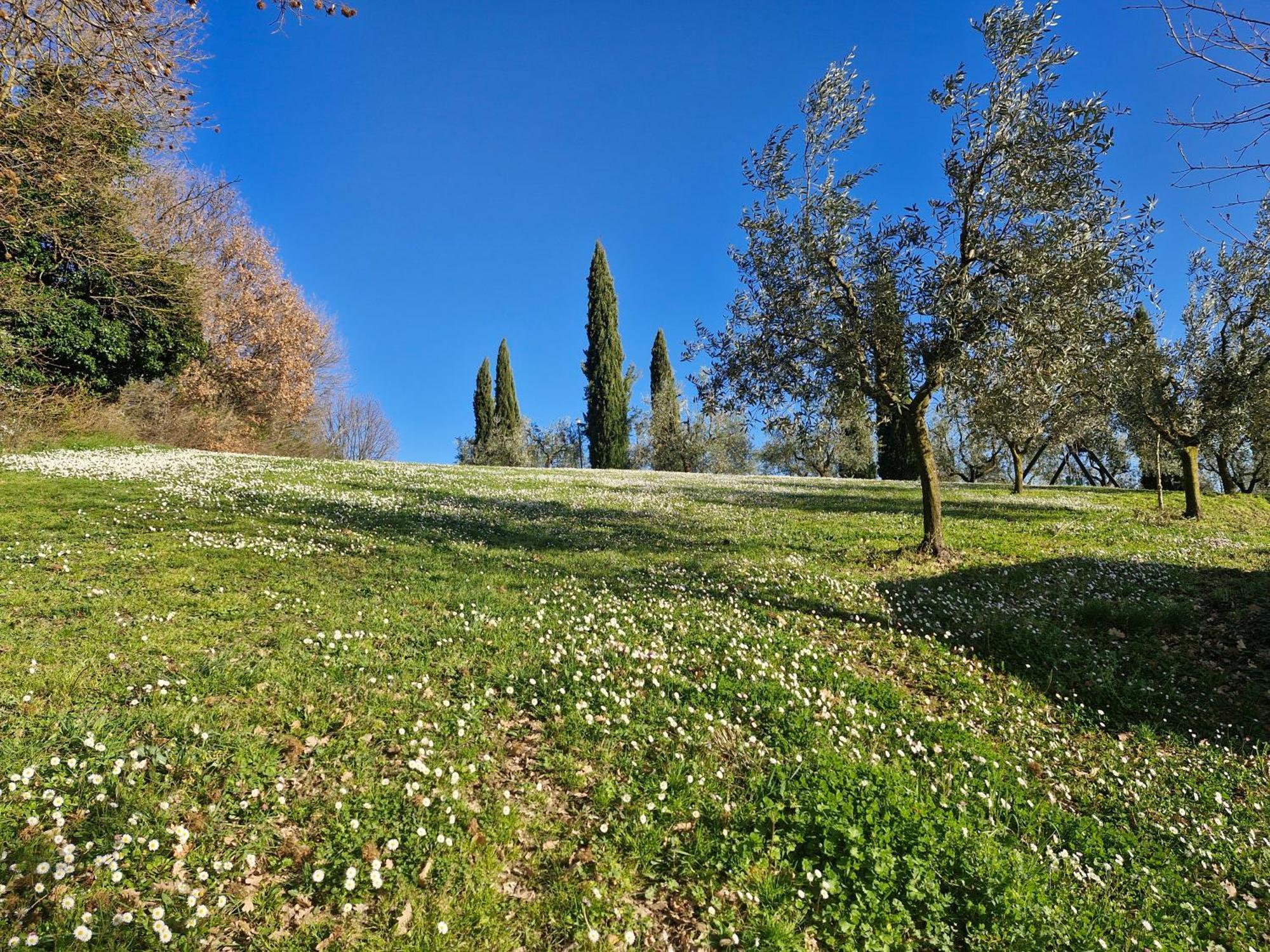 Agriturismo Val Della Pieve Anghiari Exteriör bild